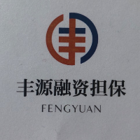 豐源融資擔(dān)保有限公司