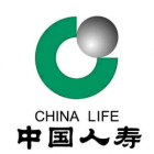 中國(guó)人壽保險(xiǎn)股份有限公司嵐皋支公司
