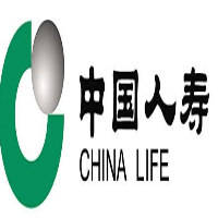 中國(guó)人壽石泉支公司
