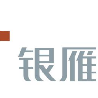 銀雁科技